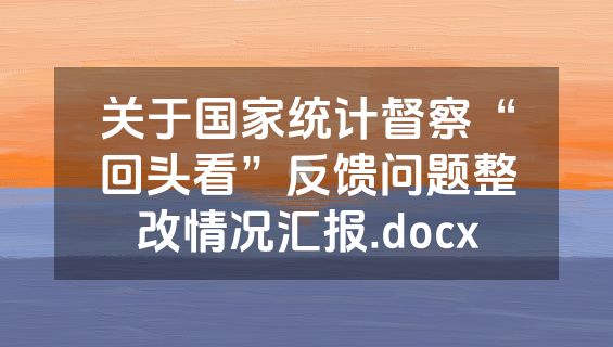 关于国家统计督察“回头看”反馈问题整改情况汇报.docx