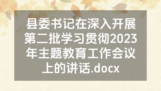 县委书记在深入开展第二批学习贯彻2023年主题教育工作会议上的讲话.docx