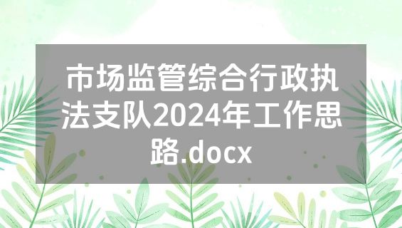 市场监管综合行政执法支队2024年工作思路.docx