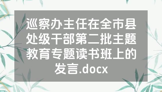 巡察办主任在全市县处级干部第二批主题教育专题读书班上的发言.docx