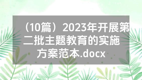 （10篇）2023年开展第二批主题教育的实施方案范本.docx