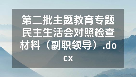 第二批主题教育专题民主生活会对照检查材料（副职领导）.docx