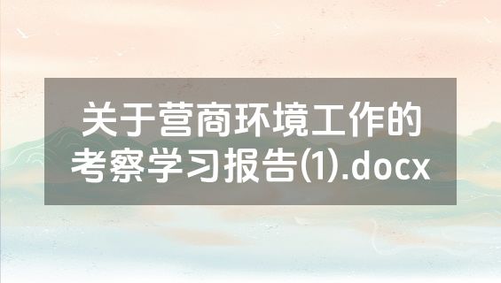 关于营商环境工作的考察学习报告(1).docx