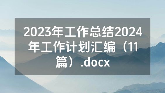 2023年工作总结2024年工作计划汇编（11篇）.docx