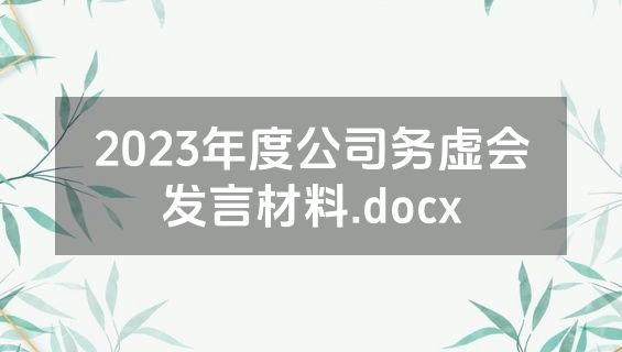 2023年度公司务虚会发言材料.docx