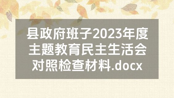 县政府班子2023年度主题教育民主生活会对照检查材料.docx