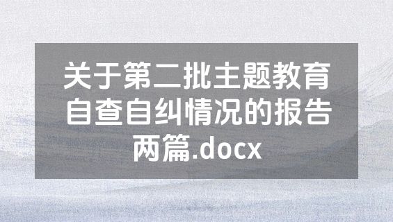 关于第二批主题教育自查自纠情况的报告两篇.docx