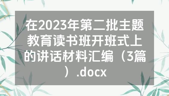 在2023年第二批主题教育读书班开班式上的讲话材料汇编（3篇）.docx