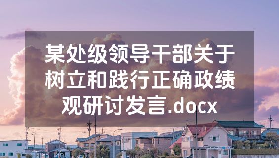 某处级领导干部关于树立和践行正确政绩观研讨发言.docx