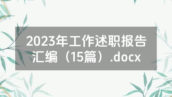 2023年工作述职报告汇编（15篇）.docx