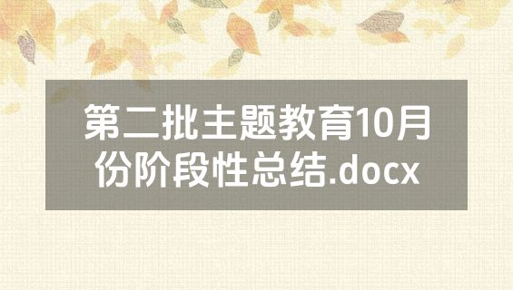 第二批主题教育10月份阶段性总结.docx