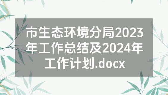 市生态环境分局2023年工作总结及2024年工作计划.docx