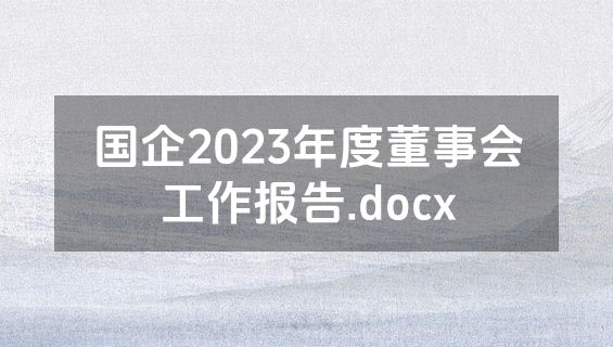 国企2023年度董事会工作报告.docx