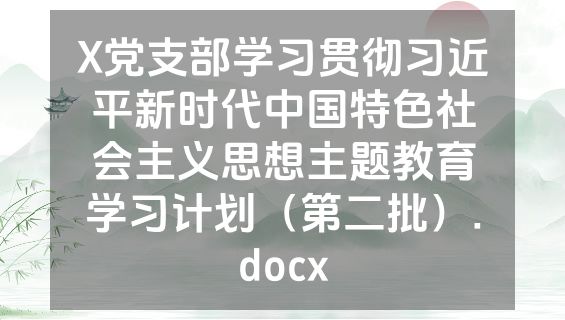 X党支部学习贯彻习近平新时代中国特色社会主义思想主题教育学习计划（第二批）.docx