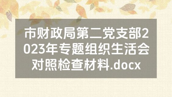 市财政局第二党支部2023年专题组织生活会对照检查材料.docx