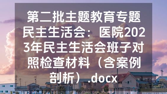 第二批主题教育专题民主生活会：医院2023年民主生活会班子对照检查材料（含案例剖析）.docx