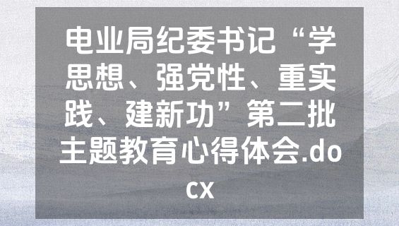 电业局纪委书记“学思想、强党性、重实践、建新功”第二批主题教育心得体会.docx