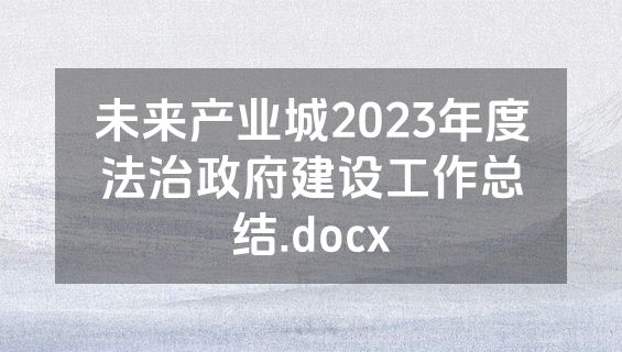 未来产业城2023年度法治政府建设工作总结.docx