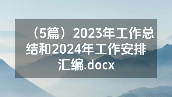 （5篇）2023年工作总结和2024年工作安排汇编.docx