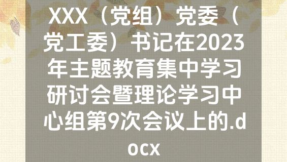 XXX（党组）党委（党工委）书记在2023年主题教育集中学习研讨会暨理论学习中心组第9次会议上的.docx