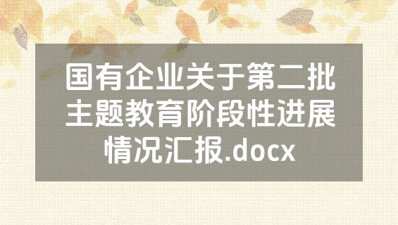 国有企业关于第二批主题教育阶段性进展情况汇报.docx