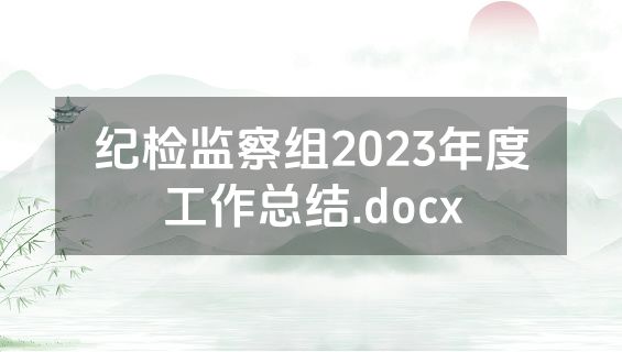 纪检监察组2023年度工作总结.docx