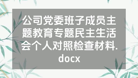 公司党委班子成员主题教育专题民主生活会个人对照检查材料.docx