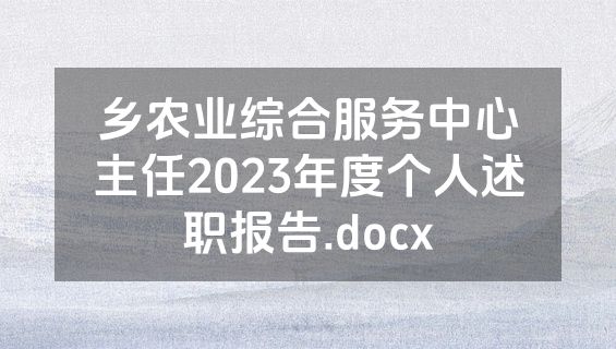 乡农业综合服务中心主任2023年度个人述职报告.docx
