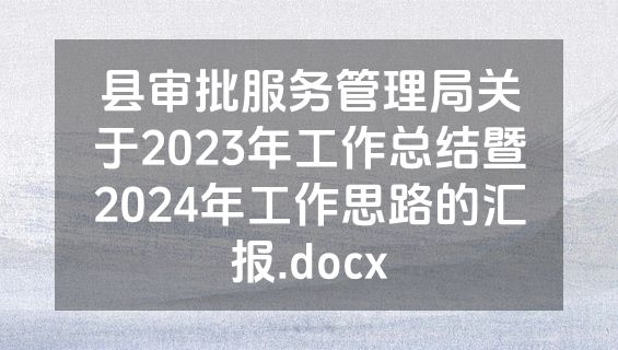 县审批服务管理局关于2023年工作总结暨2024年工作思路的汇报.docx