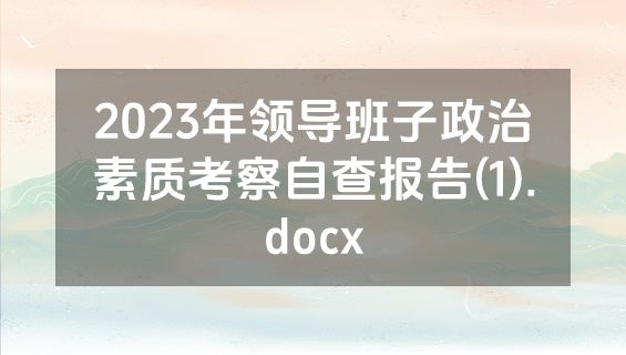 2023年领导班子政治素质考察自查报告(1).docx