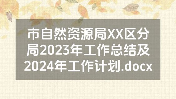 市自然资源局XX区分局2023年工作总结及2024年工作计划.docx