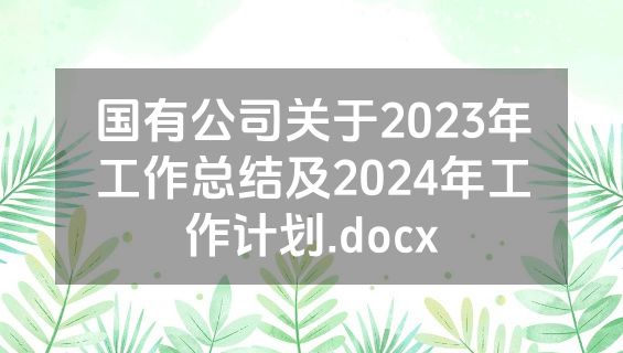 国有公司关于2023年工作总结及2024年工作计划.docx