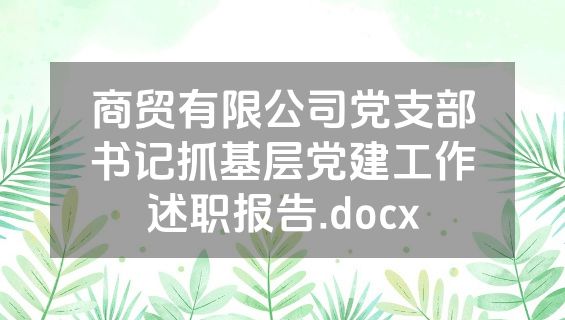 商贸有限公司党支部书记抓基层党建工作述职报告.docx