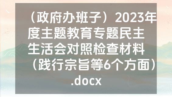（政府办班子）2023年度主题教育专题民主生活会对照检查材料（践行宗旨等6个方面）.docx