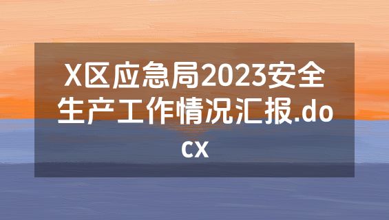X区应急局2023安全生产工作情况汇报.docx