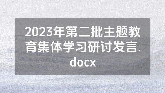 2023年第二批主题教育集体学习研讨发言.docx