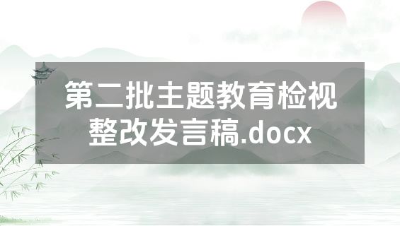 第二批主题教育检视整改发言稿.docx