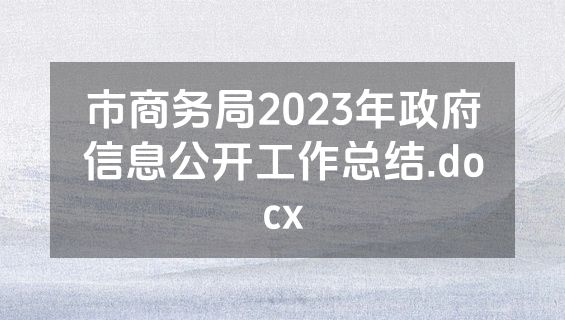市商务局2023年政府信息公开工作总结.docx