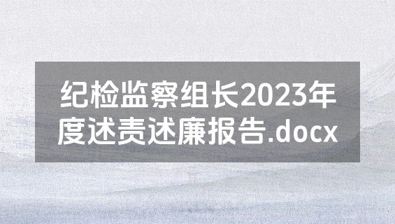 纪检监察组长2023年度述责述廉报告.docx