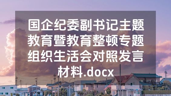 国企纪委副书记主题教育暨教育整顿专题组织生活会对照发言材料.docx