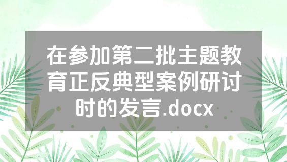 在参加第二批主题教育正反典型案例研讨时的发言.docx