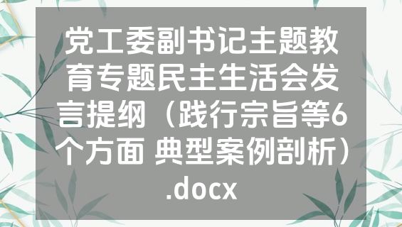 党工委副书记主题教育专题民主生活会发言提纲（践行宗旨等6个方面 典型案例剖析）.docx