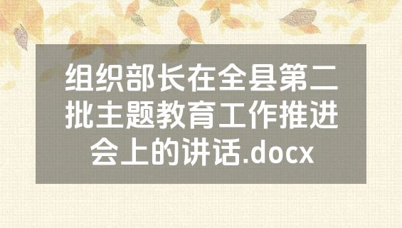 组织部长在全县第二批主题教育工作推进会上的讲话.docx
