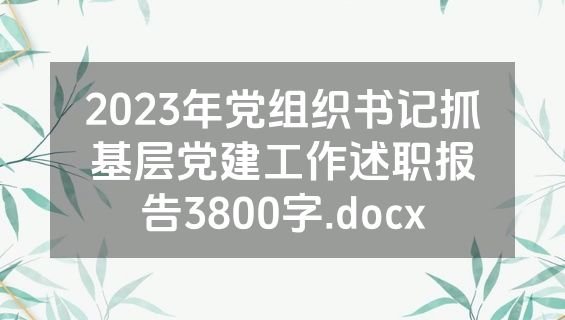 2023年党组织书记抓基层党建工作述职报告3800字.docx