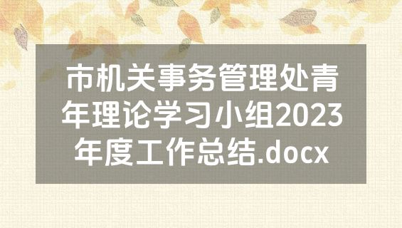 市机关事务管理处青年理论学习小组2023年度工作总结.docx