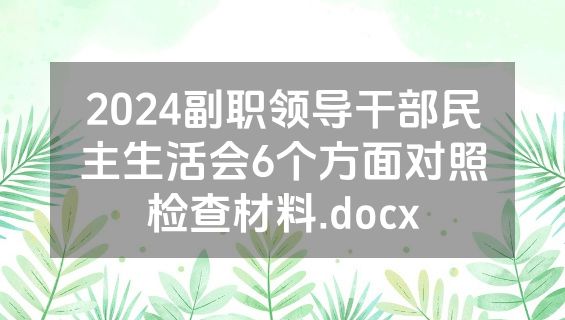 2024副职领导干部民主生活会6个方面对照检查材料.docx