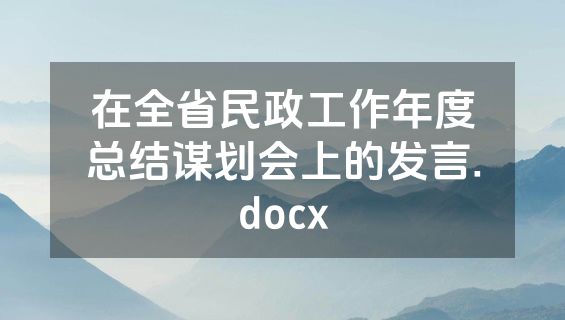 在全省民政工作年度总结谋划会上的发言.docx