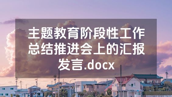 主题教育阶段性工作总结推进会上的汇报发言.docx