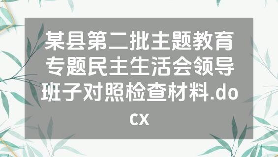 某县第二批主题教育专题民主生活会领导班子对照检查材料.docx