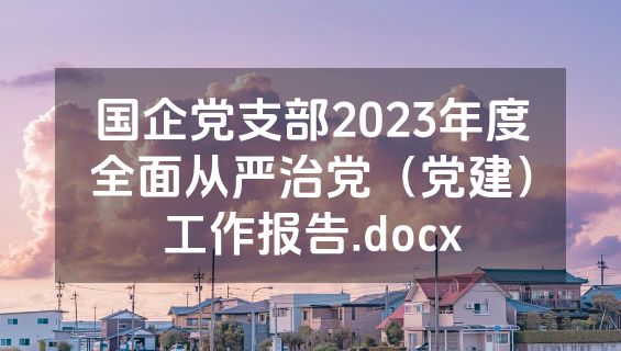 国企党支部2023年度全面从严治党（党建）工作报告.docx